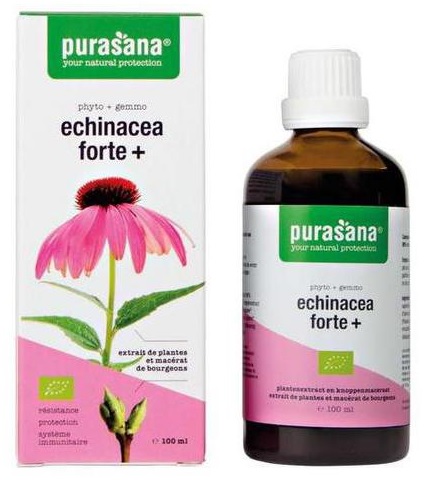 JEŻÓWKA PURPUROWA (ECHINACEA FORTE) KROPLE BIO 100 ml – PURASANA
