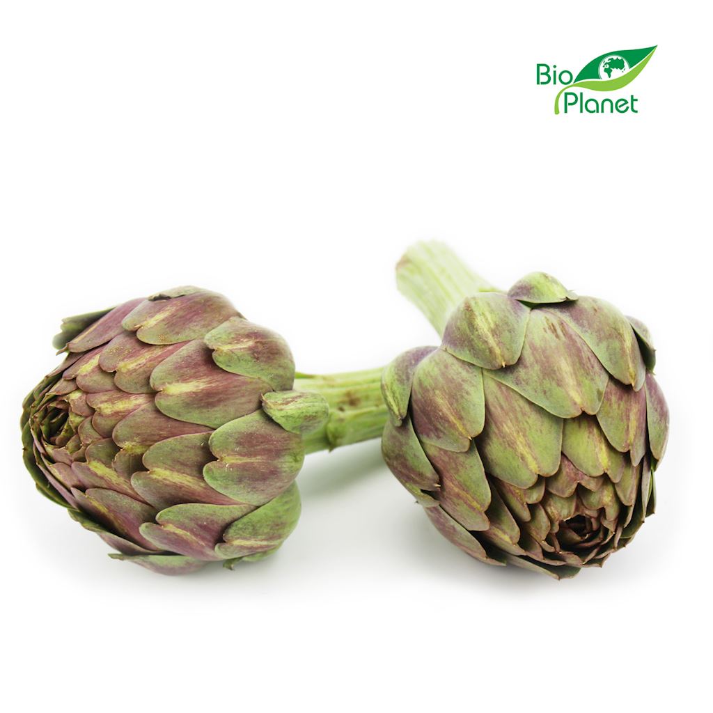 KARCZOCH ŚWIEŻY BIO (około 0,25 kg)