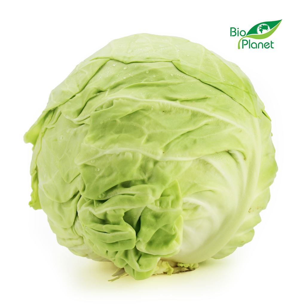 OPAKOWANIE ZBIORCZE (kg) – KAPUSTA MŁODA ŚWIEŻA BIO (około 8 kg)