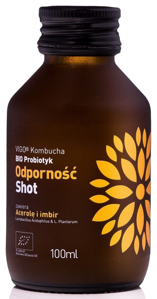 SHOT KOMBUCHA PROBIOTYK ODPORNOŚĆ BEZGLUTENOWY BIO 100 ml – VIGO