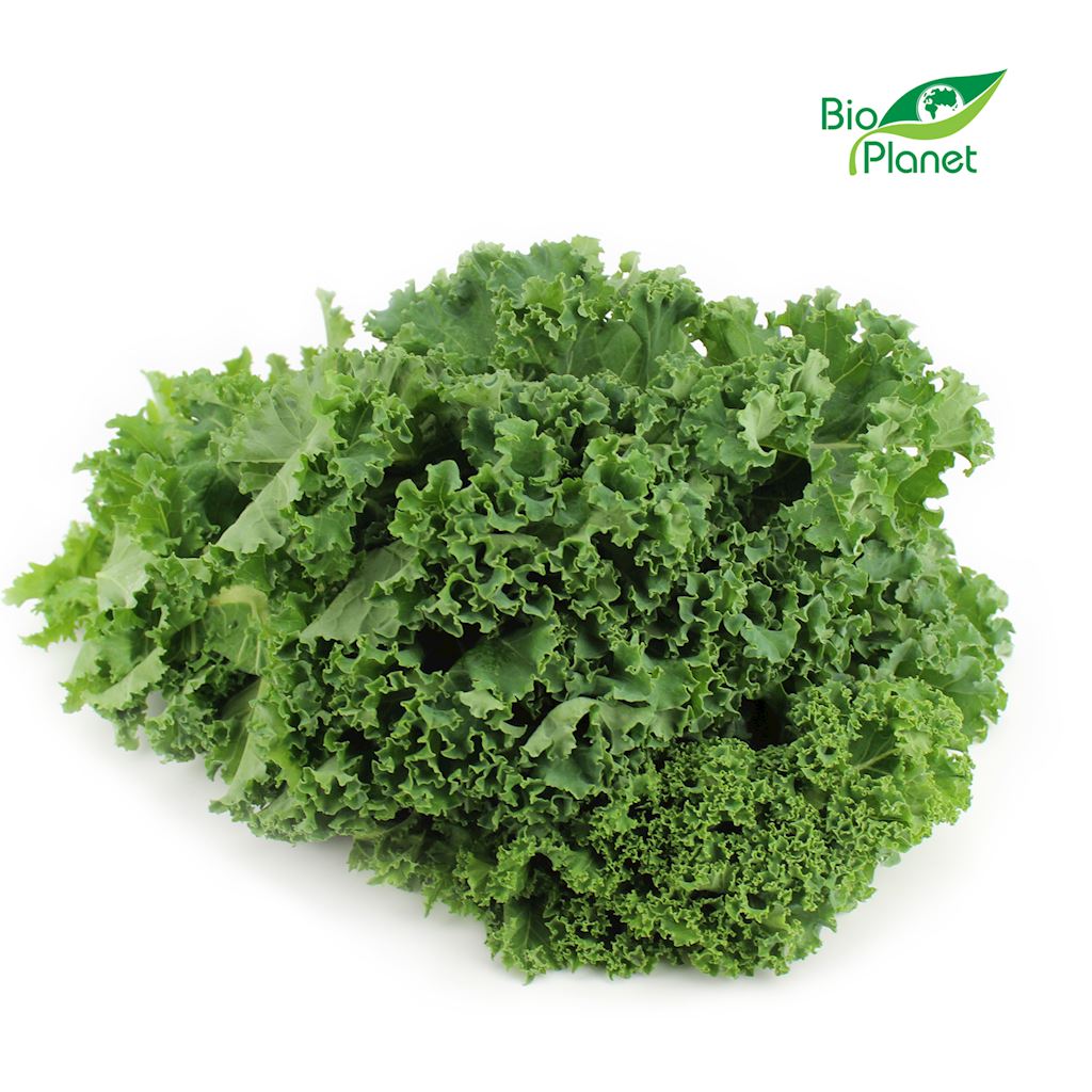 OPAKOWANIE ZBIORCZE (kg) – JARMUŻ ŚWIEŻY BIO (około 4 kg)