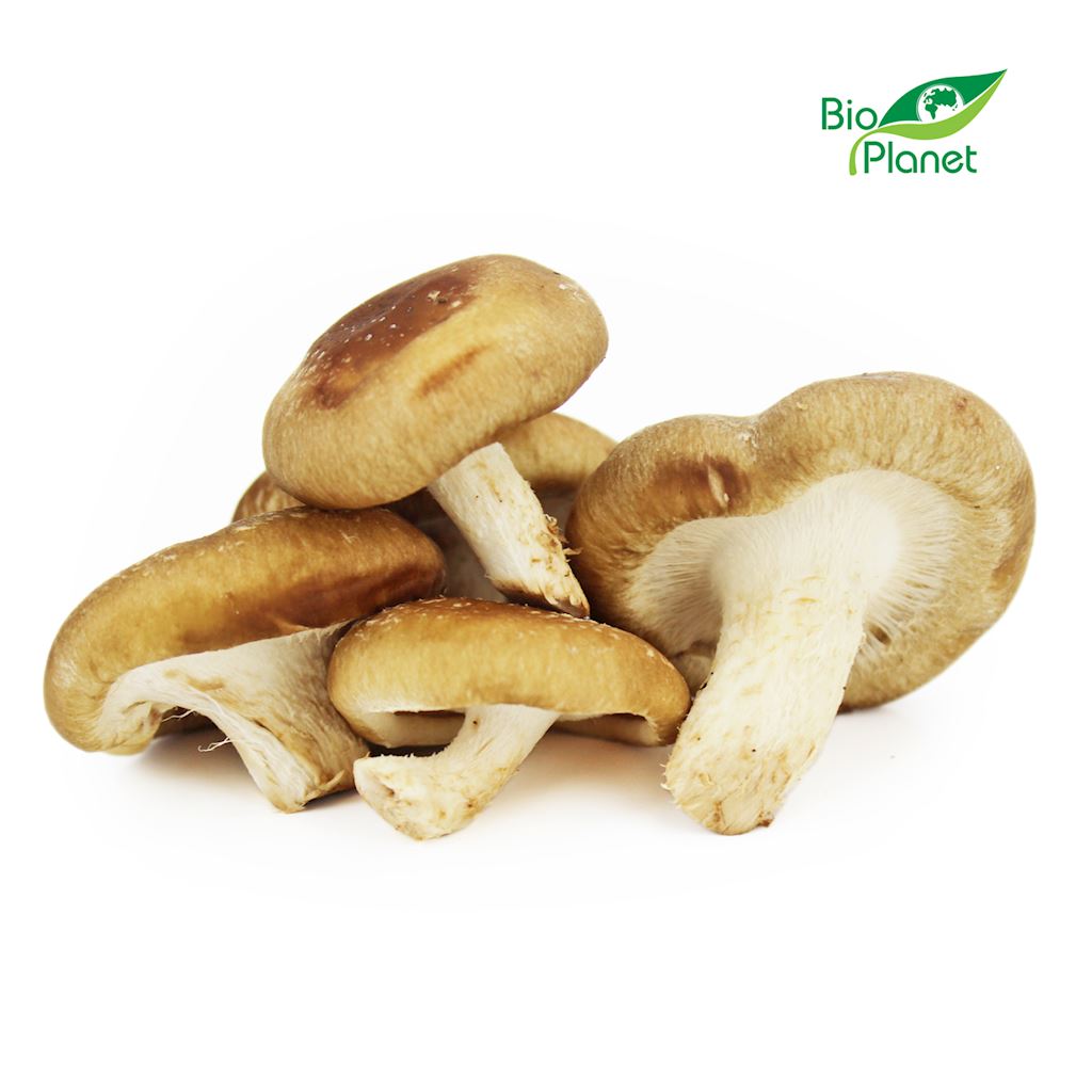 OPAKOWANIE ZBIORCZE (kg) – GRZYBY SHIITAKE ŚWIEŻE BIO (POLSKA) (około 1 kg)