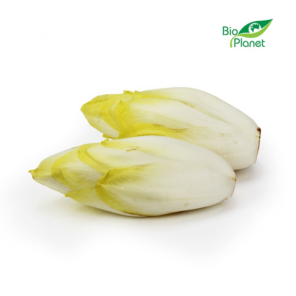 OPAKOWANIE ZBIORCZE (kg) – CYKORIA ŚWIEŻA BIO (około 5 kg)