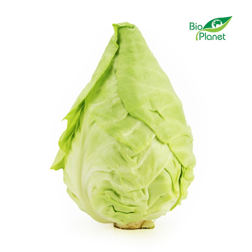 OPAKOWANIE ZBIORCZE (kg) – KAPUSTA SZPICZASTA ŚWIEŻA BIO (około 8 kg)