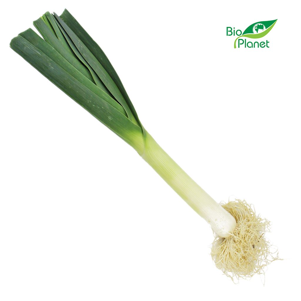 OPAKOWANIE ZBIORCZE (kg) – POR ŚWIEŻY BIO (około 10 kg)