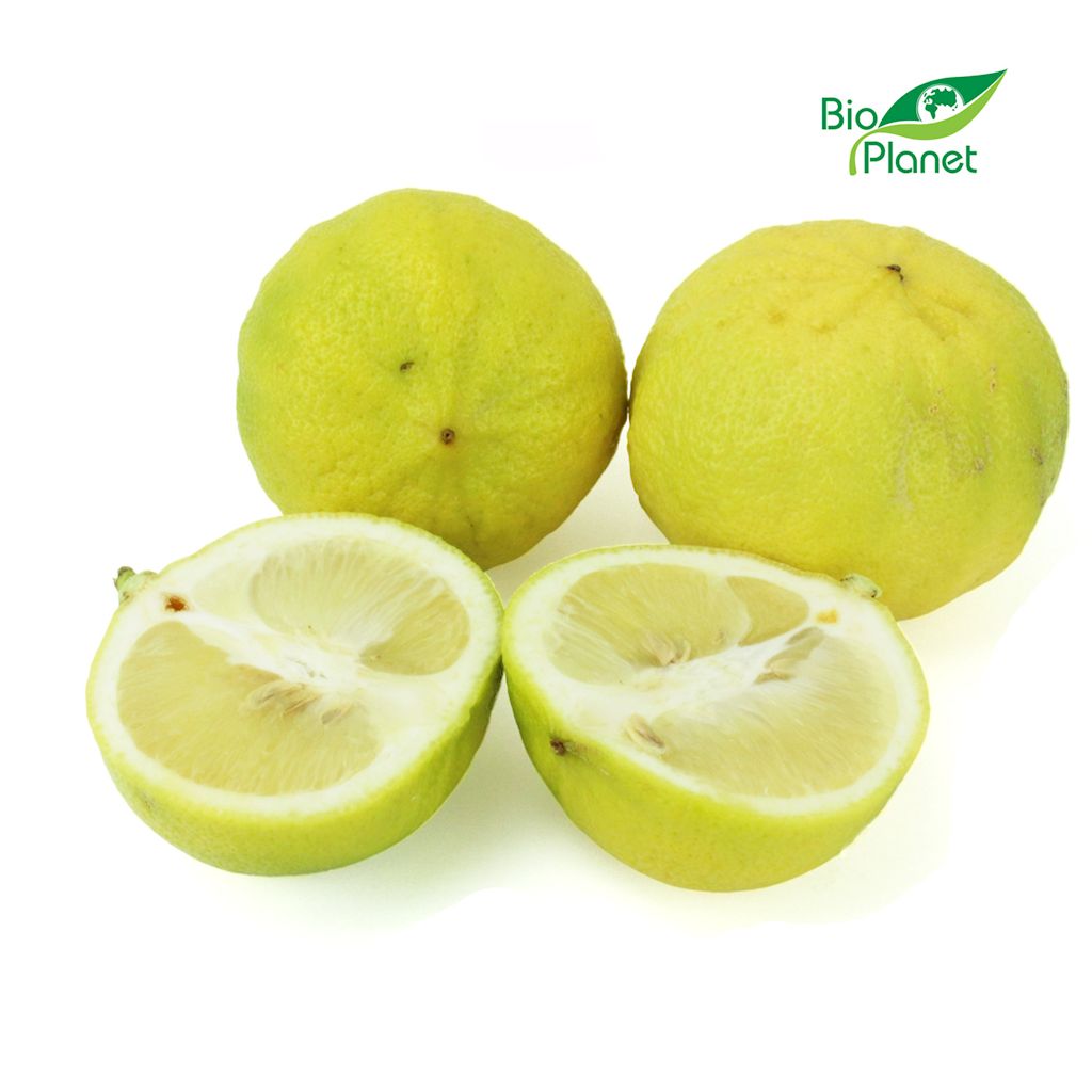 OPAKOWANIE ZBIORCZE (kg) – BERGAMOTKA ŚWIEŻA BIO (około 3 kg)