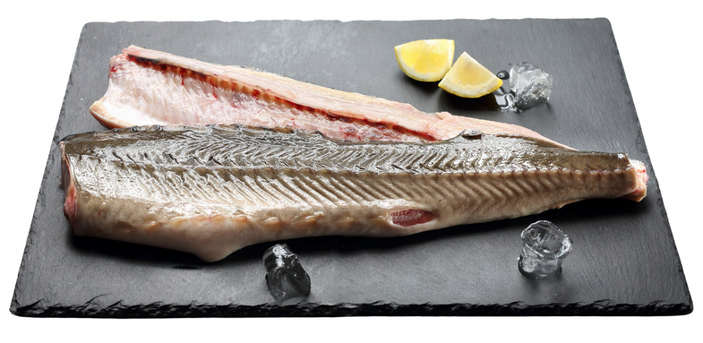 JESIOTR PŁAT (około 0,40 kg) – SMOLIN FISH (NA ZAMÓWIENIE)