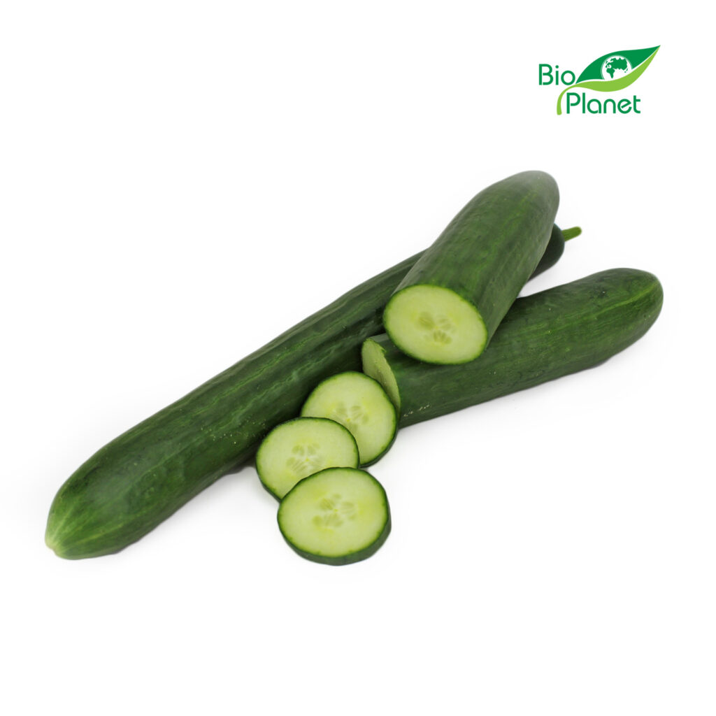 OPAKOWANIE ZBIORCZE (szt) – OGÓREK DŁUGI ŚWIEŻY BIO (około 12 sztuk)