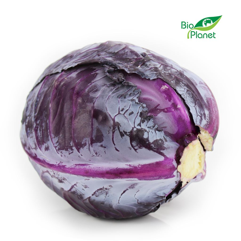 OPAKOWANIE ZBIORCZE (kg) – KAPUSTA CZERWONA ŚWIEŻA BIO (POLSKA) (około 10 kg)