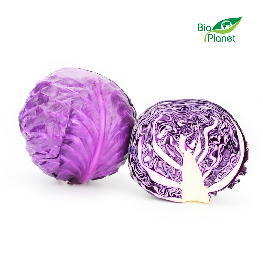 KAPUSTA CZERWONA MŁODA ŚWIEŻA BIO (około 1,00 kg)