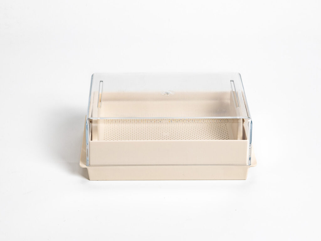 NACZYNIE DO KIEŁKOWANIA PROSTOKĄTNE – URBALIVE