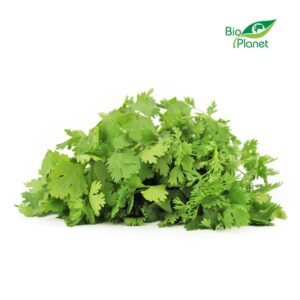 KOLENDRA ŚWIEŻA NIEMYTA BIO (POLSKA) (około 50 g)