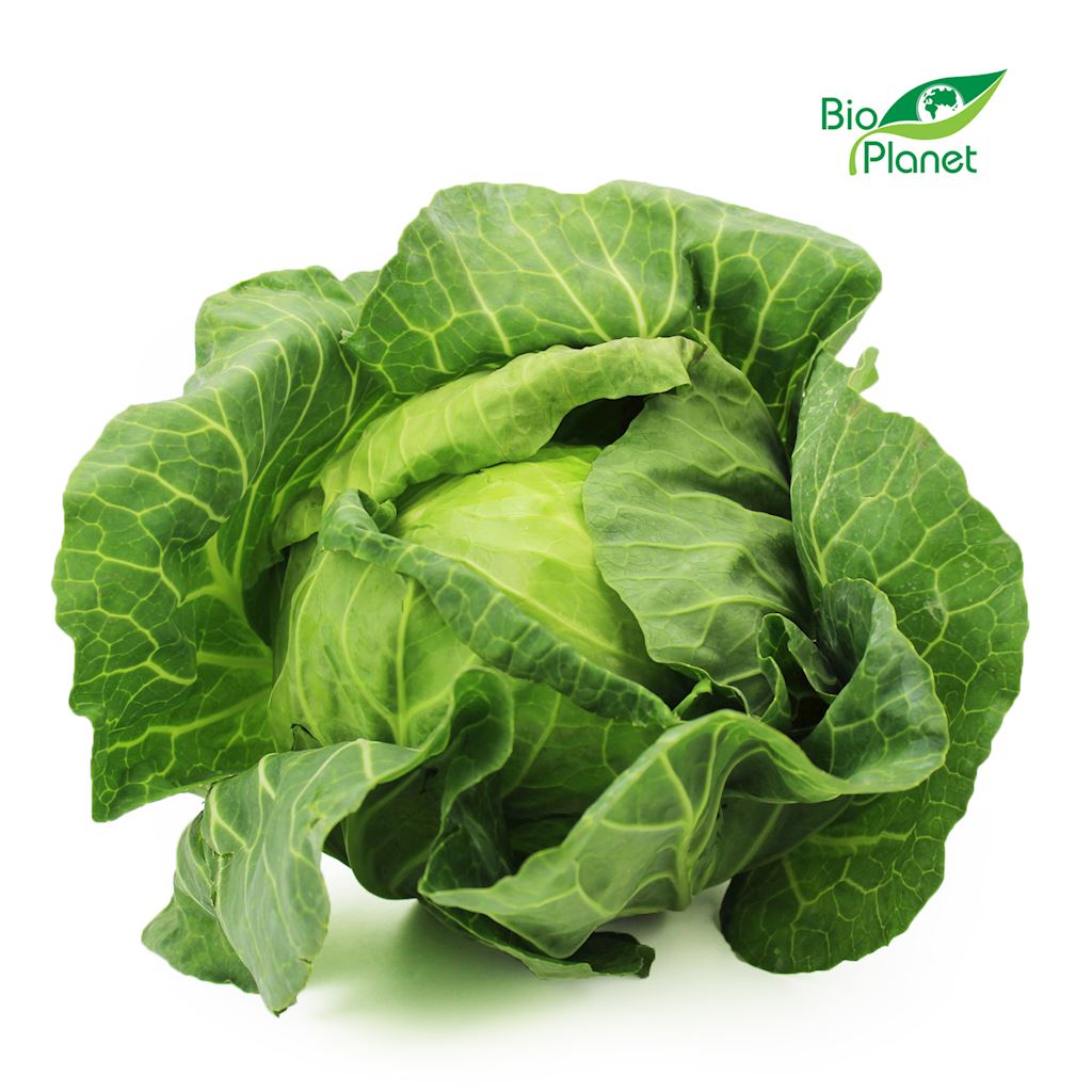 OPAKOWANIE ZBIORCZE (kg) – KAPUSTA BIAŁA MŁODA ŚWIEŻA BIO (POLSKA) (około 8 kg)