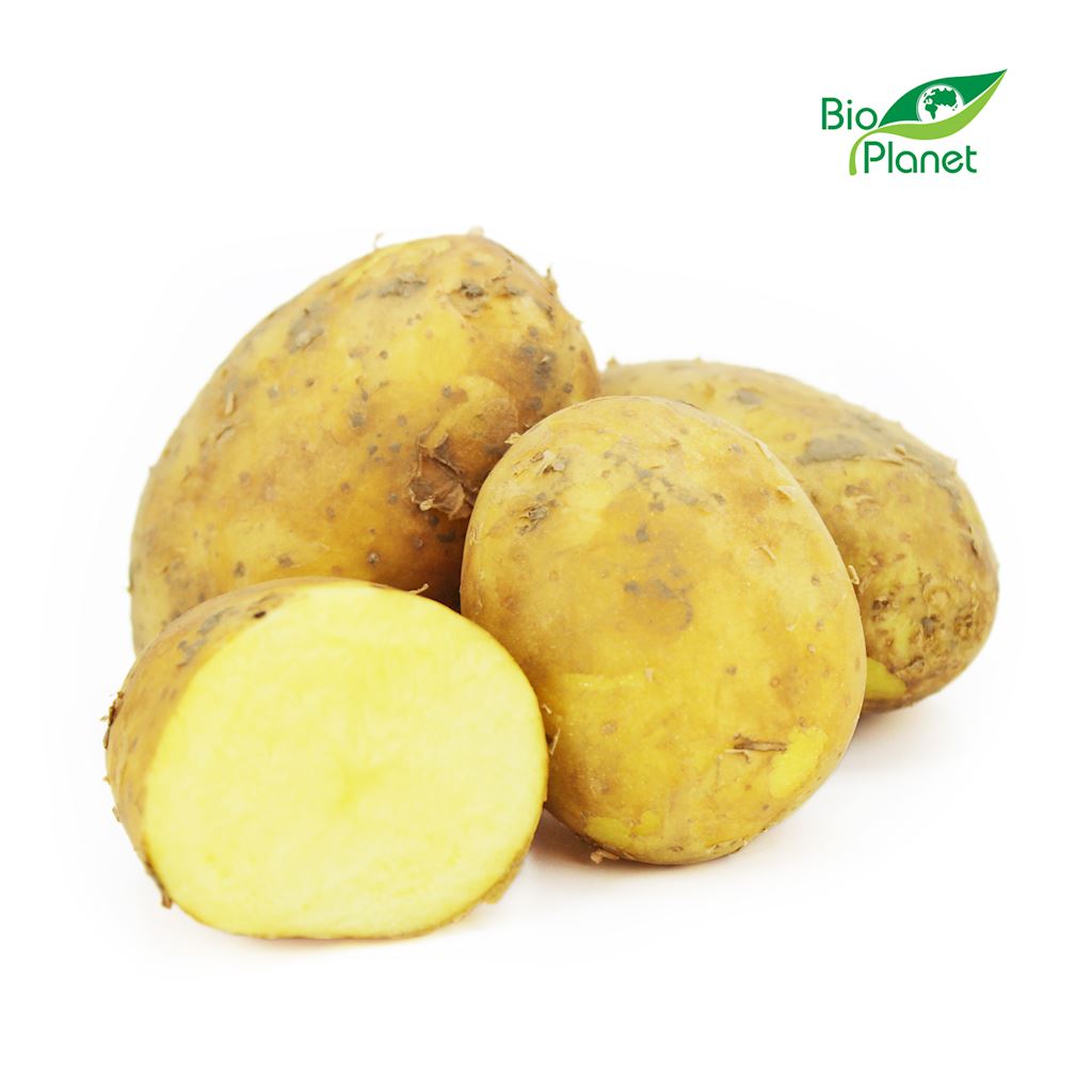 OPAKOWANIE ZBIORCZE (kg) – ZIEMNIAKI ŻÓŁTE MŁODE ŚWIEŻE BIO (POLSKA) (około 10 kg)