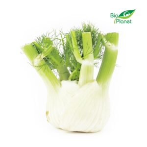 KOPER WŁOSKI ŚWIEŻY (FENKUŁ) BIO (około 0,25 kg)