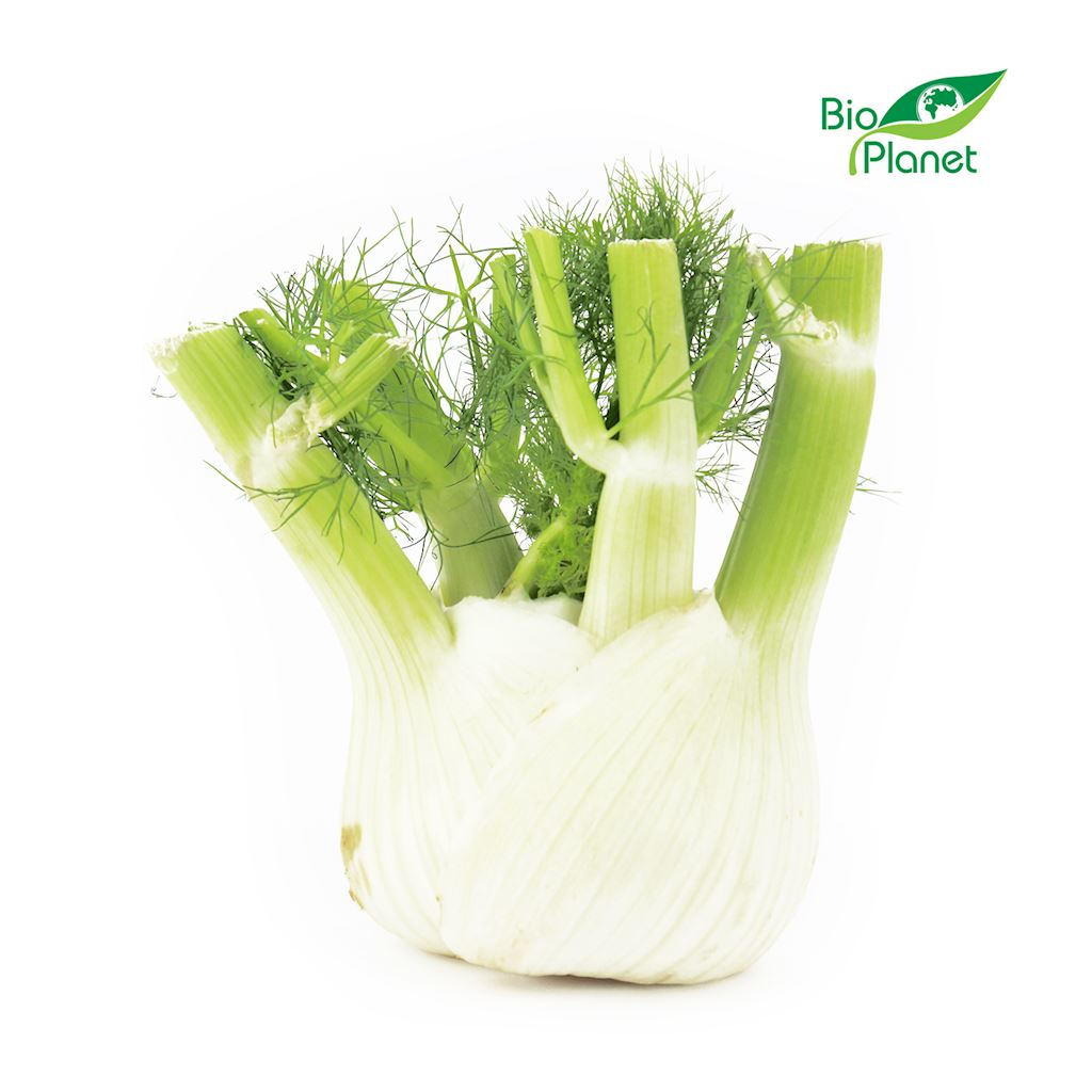 KOPER WŁOSKI ŚWIEŻY (FENKUŁ) BIO (około 0,25 kg)
