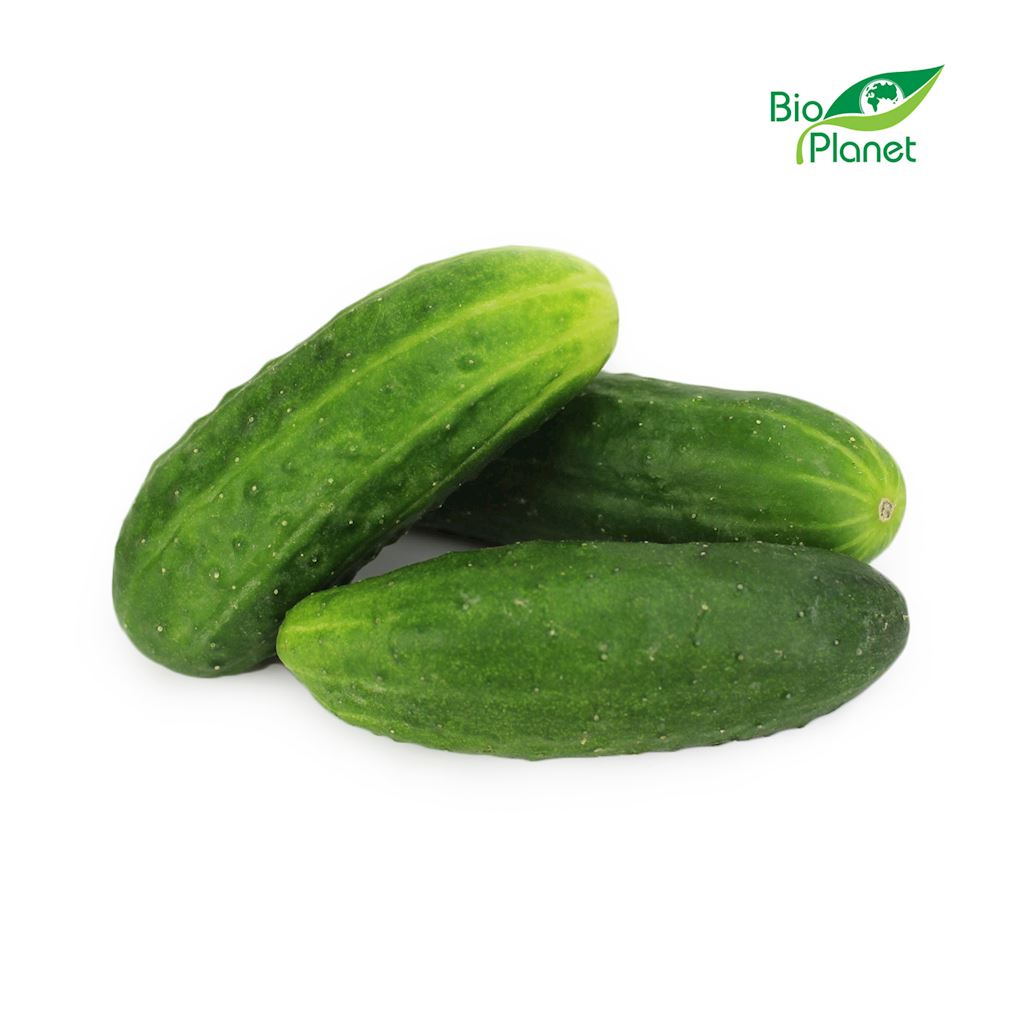 OPAKOWANIE ZBIORCZE (kg) – OGÓREK GRUNTOWY ŚWIEŻY BIO (POLSKA) (około 5 kg)