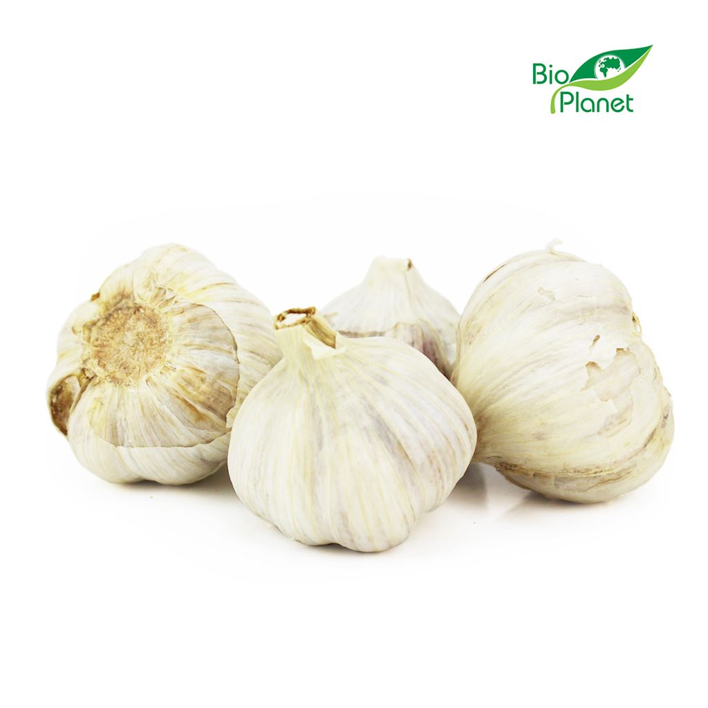OPAKOWANIE ZBIORCZE (kg) – CZOSNEK ŚWIEŻY BIO (POLSKA) (około 5 kg)