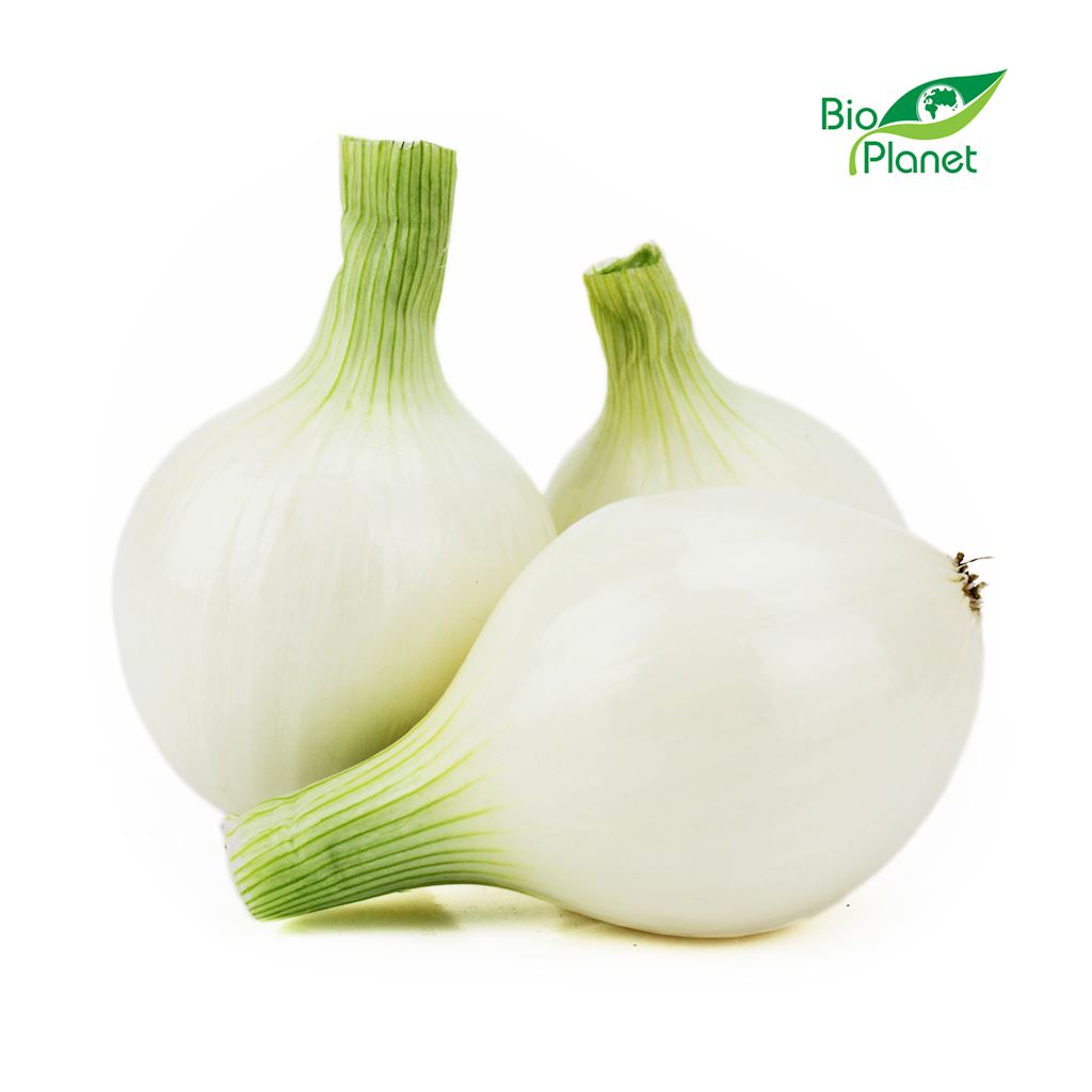 OPAKOWANIE ZBIORCZE (kg) – CEBULA CUKROWA ŚWIEŻA BIO (POLSKA) (około 5 kg)