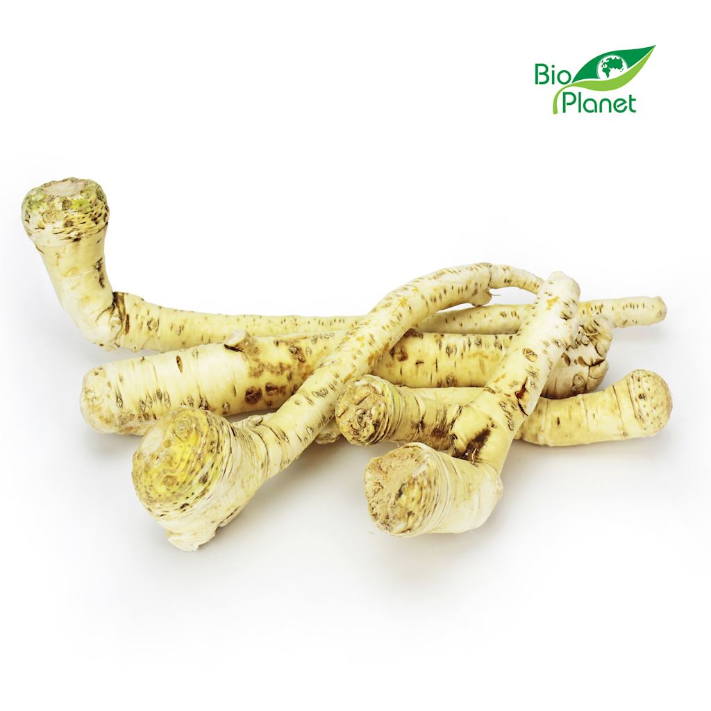 OPAKOWANIE ZBIORCZE (kg) – CHRZAN ŚWIEŻY BIO (POLSKA) (około 3 kg)