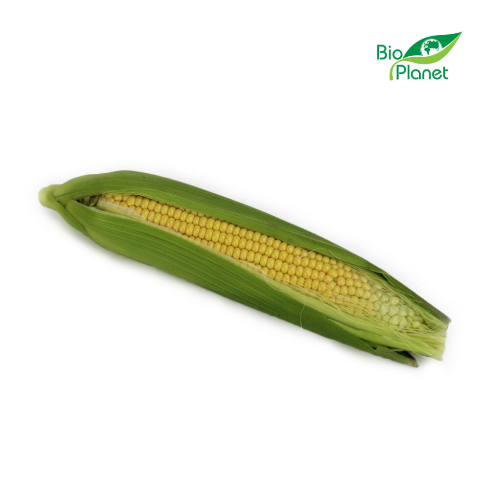 KUKURYDZA ŚWIEŻA BIO (POLSKA) (około 0,25 kg)