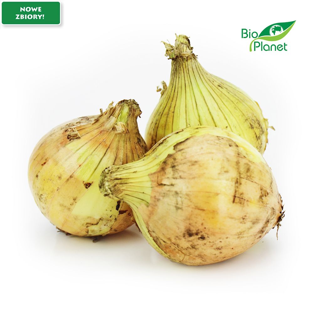 OPAKOWANIE ZBIORCZE (kg) – CEBULA ŻÓŁTA ŚWIEŻA BIO (POLSKA) (około 5 kg)